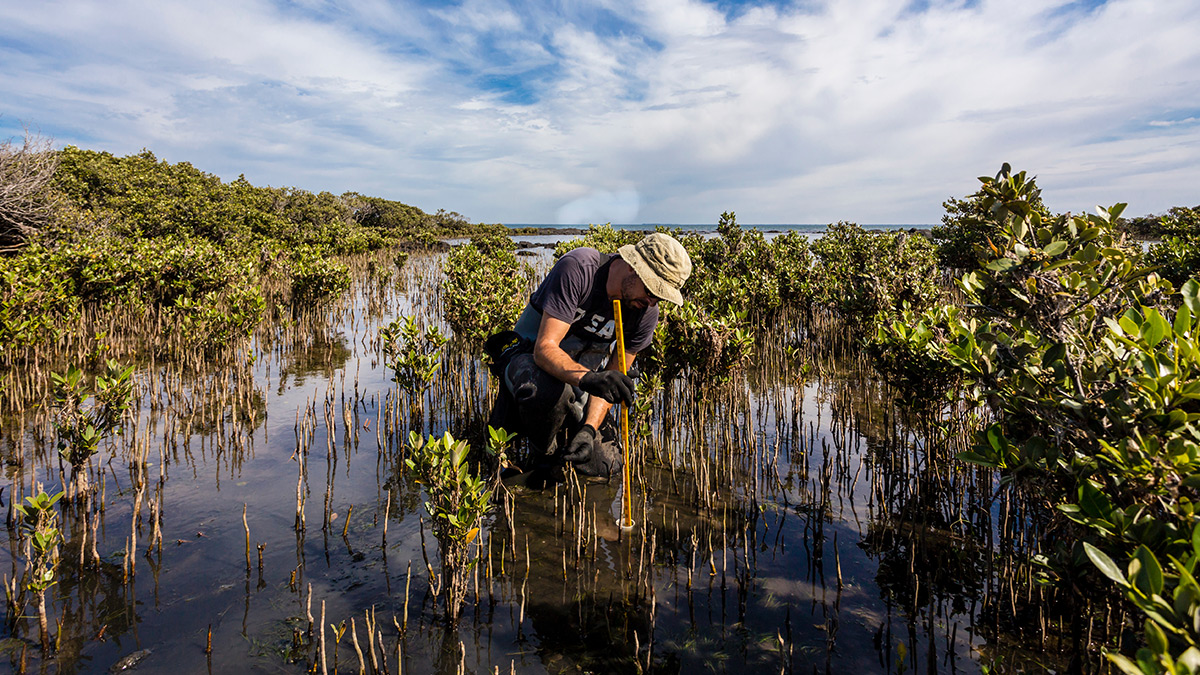 An implementation roadmap for Australia's Ocean Accounts