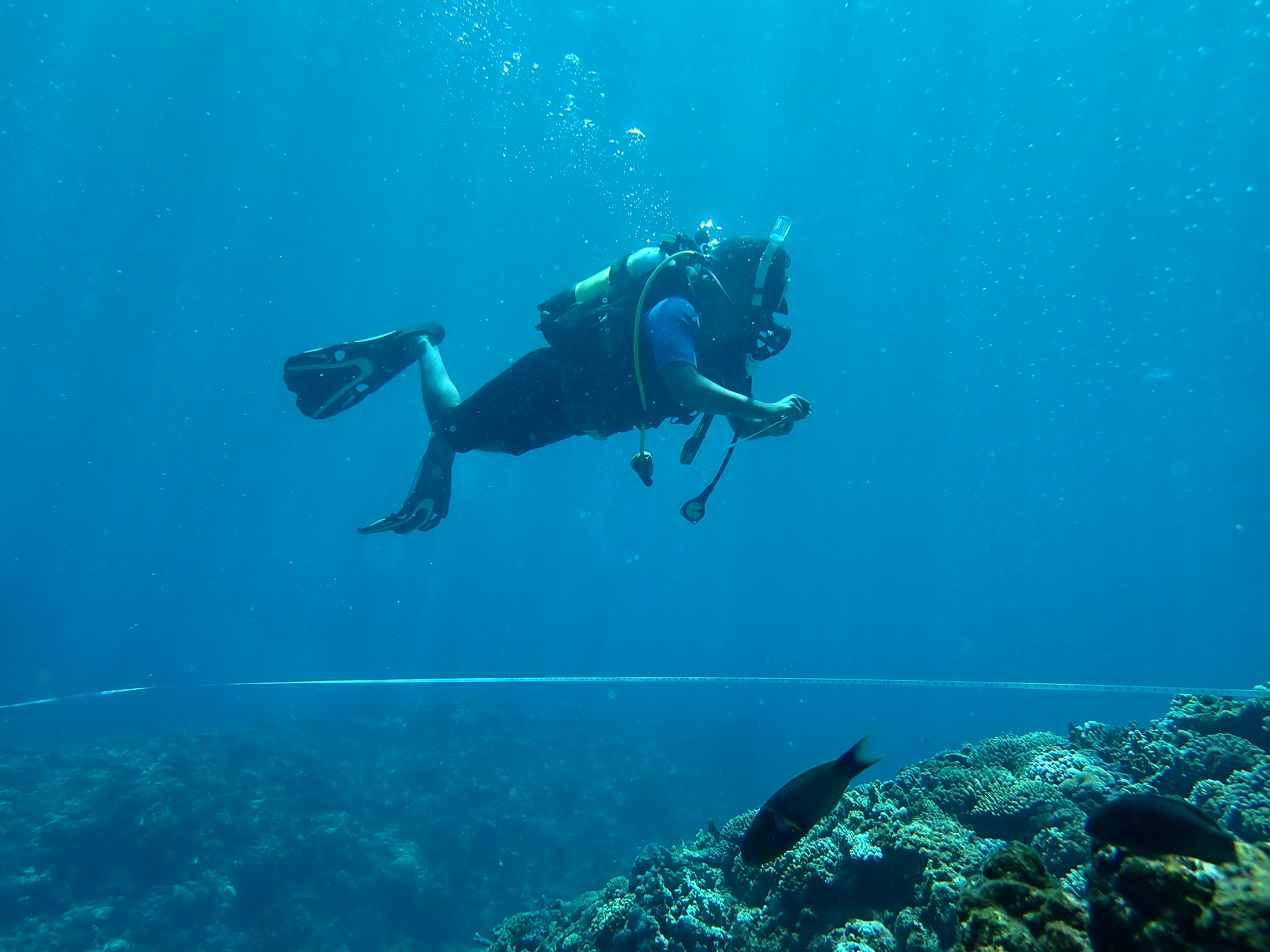Madagascar: Accounting for Coral Reefs and the Blue Economy